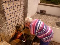 Azoren August 2014 041