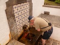 Azoren August 2014 043