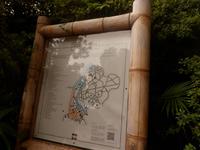 Azoren August 2014 071