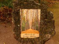 Azoren August 2014 085