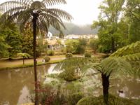 Azoren August 2014 100