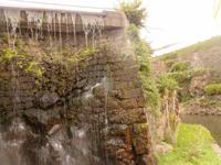 Azoren August 2014 170