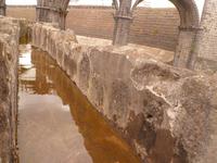 Azoren August 2014 171