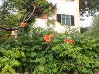 Azoren August 2014 215