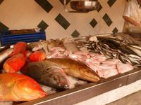 Azoren August 2014 191