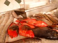 Azoren August 2014 192