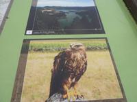 Azoren August 2014 247