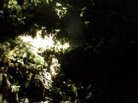 Azoren August 2014 394/ Vulkanhöhle