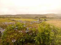 Azoren August 2014 487