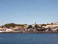 Azoren August 2014 520/ Horta