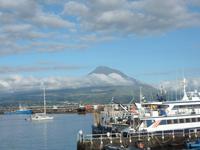 Azoren August 2014 564/ Pico