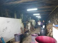 Pico - Schnapsbrennerei