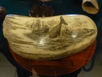 Fajal - Scrimshaw Museum