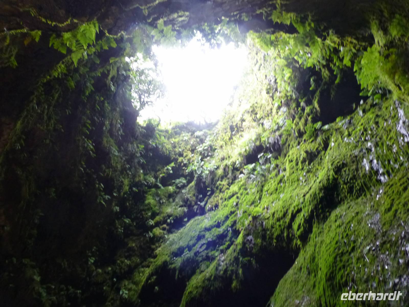 Algar do Carvão 