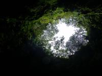 Algar do Carvão 