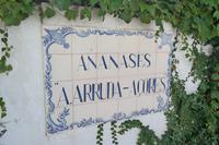 Ananasplantage