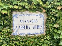 Ananasplantage