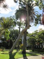 Angra do Heroismo: Stadtpark