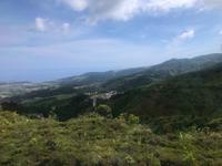 Ausblick