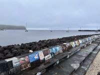 Azoren - Faial, Horta