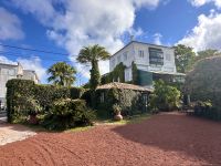 Azoren - Sao Miguel, Ananasplantage