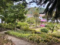 Azoren - Terceira, Angra