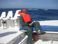Beim Whale Watching