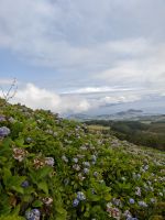 Blick auf Horta
