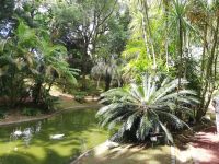 Botanischen Garten – „Jardim António Borges - Ponta Delgada - São Miguel, Azoren