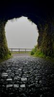 Caldeira, Faial Island, Horta, Azores, Portugal