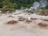 Cozido das Furnas