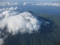 Der Pico
