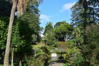 Der botanische Garten von Angra