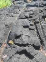 Die Spurrillen von Karren für Transport der Trauben - Lajido - Pico, Azoren