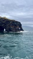 Faial, Horta, Azores, Portugal