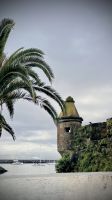 Faial, Horta, Azores, Portugal