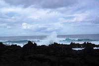 Fotostopp am Meer