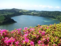 Furnas