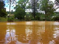 Furnas