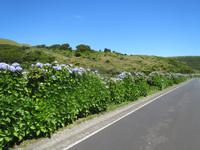 IMG_2368_Hothensien