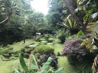 Im Park 