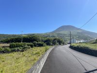 Inselrundfahrt Pico