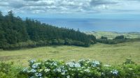 Inselrundfahrt auf Faial - Fahrt zum Kraterrand Mirrador de Caldera
