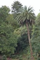 Lagoa das Furnas