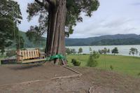Lagoa das Furnas