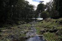 Lagoa das Furnas