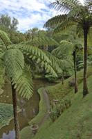 Park Terra Nostra