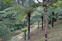 Park Terra Nostra
