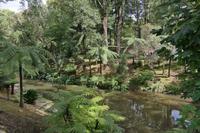 Park Terra Nostra