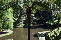 Park von Terra Nostra